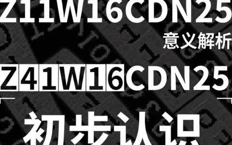 Z41W16CDN25究竟代表什么含义？揭秘其背后的奥秘与用途。