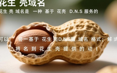 花生壳域名格式究竟是怎样的？有何特点与使用方法？