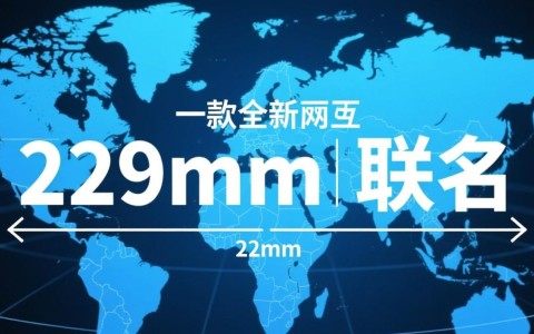 229mm新域名究竟有何特别？揭秘其背后的秘密与价值！