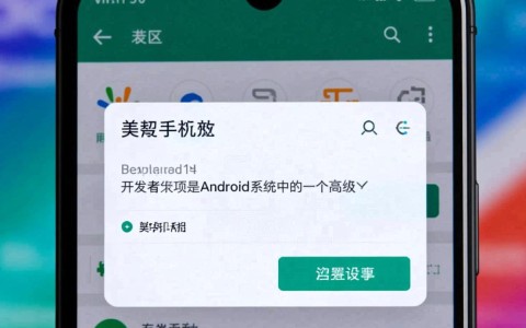 美图手机如何进入开发者选项？详细步骤揭秘