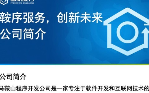马鞍山程序开发公司，如何选择最适合自己的开发服务？