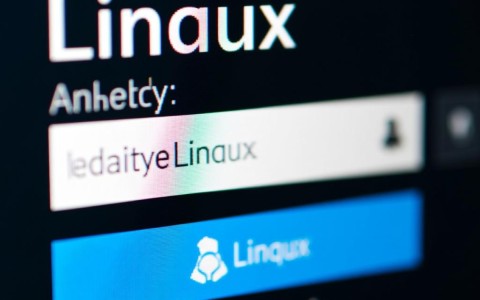 Linux虚拟机配置IP时，为何总是遇到连接不稳定的问题？解决方法详解！