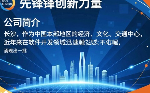 长沙软件开发公司，如何成为行业佼佼者？