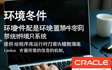 Linux环境下配置Oracle环境变量需要注意哪些细节和步骤？