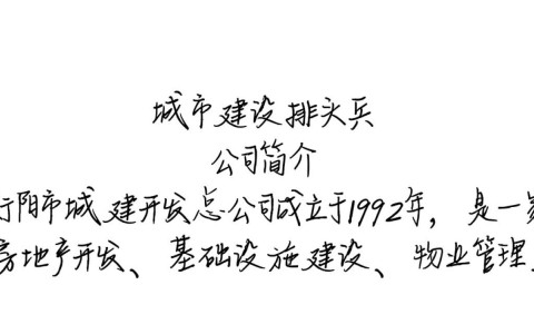 衡阳市城建开发总公司，背后的财务状况和开发项目真相如何？