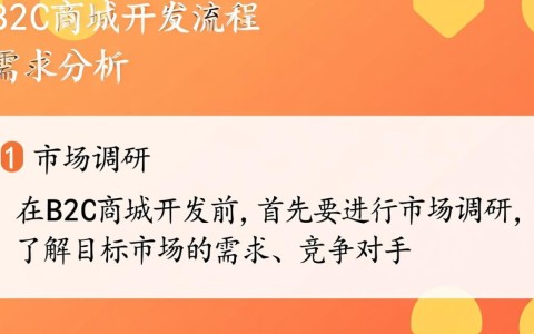 B2C商城开发流程中，哪些关键步骤是确保项目成功的关键因素？