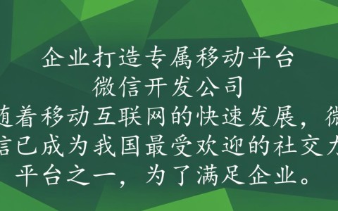 福州哪家微信开发公司专业？如何选择合适的服务商？