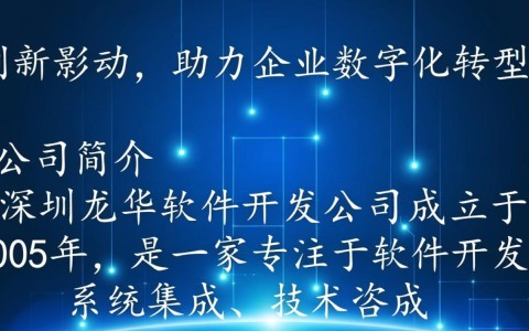 深圳龙华软件开发公司，哪家企业技术实力更强，如何选择最佳合作伙伴？