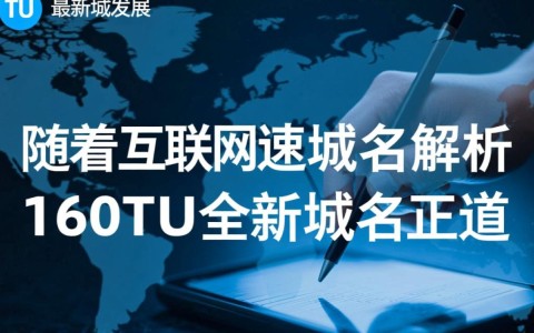 160TU最新域名揭秘，这一域名背后隐藏了哪些秘密或变化？