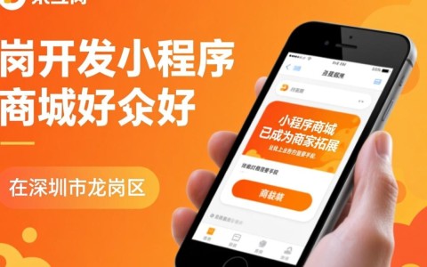 龙岗地区小程序商城开发，哪家服务商口碑和服务更胜一筹？