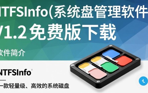 NTFSInfo V1.2免费系统磁盘管理工具下载