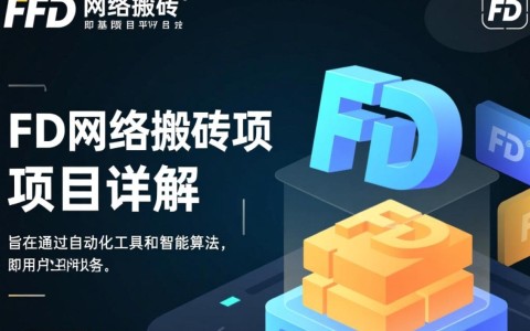 fd网络搬砖项目究竟如何操作？风险与收益分析揭秘！