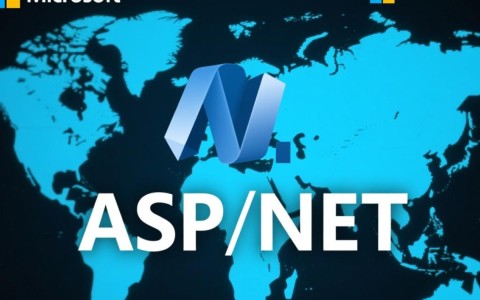 ASP.NET整站开发中，如何高效优化性能与安全性？30字疑问解析！
