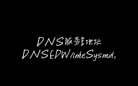 如何正确配置DNS服务器地址以优化网络连接？