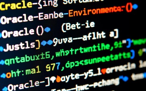 Oracle环境变量配置在Linux系统中的具体步骤是什么？