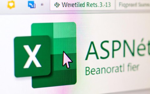 ASP.NET操作Excel助手代码中，有哪些关键步骤或技巧值得学习探讨？