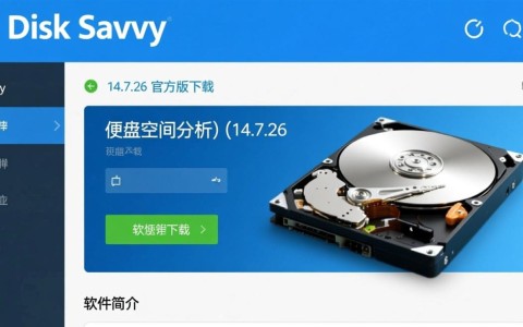 Disk Savvy V14.7.26 官方版下载