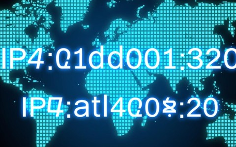 如何通过已知的IP地址快速准确地查询对应的域名?