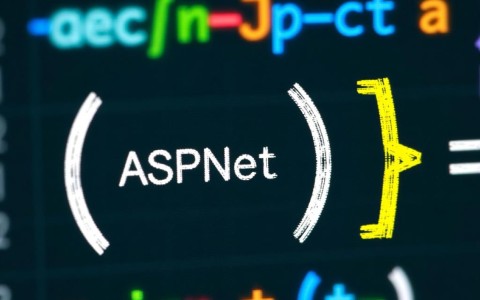 asp.net中括号的使用意义及具体应用场景是什么？