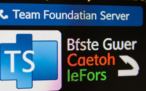 如何在ASP.NET中实现取消TFS 2010其他成员签出文件的强制操作？