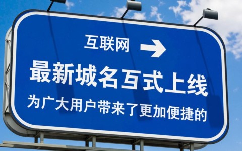 sis001最新域名揭秘，这个网站真的安全可靠吗？