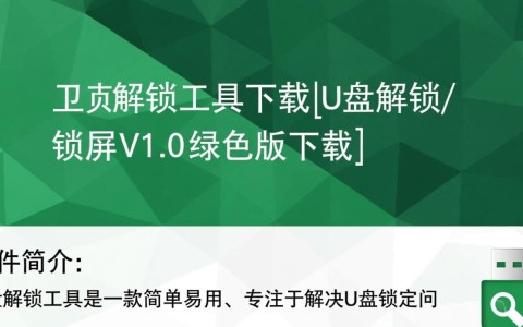 u盘解锁工具V1.0绿色版下载