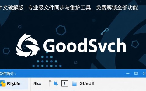 GoodSync12中文破解版 V12.0.3.7 最新免费下载