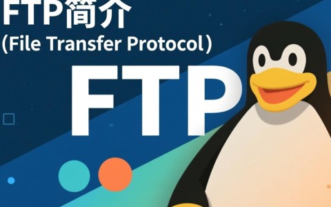 Linux环境下FTP使用方法详解，有哪些步骤和技巧？