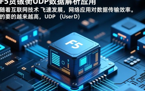 F5负载均衡UDP数据传输原理及其应用场景探讨？
