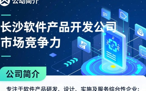 长沙软件产品开发公司，哪家在技术创新和客户满意度上更胜一筹？