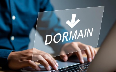 100免费域名空间？真的可信吗？揭秘其隐藏的真相！