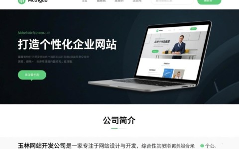 玉林网站开发公司如何选择优质服务？揭秘行业真相与误区！