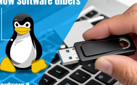 服务器用U盘装Linux系统教程，如何从U盘启动安装Linux系统？