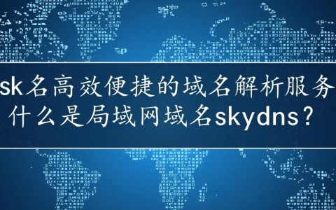局域网域名skydns，其具体应用与配置方法是什么？