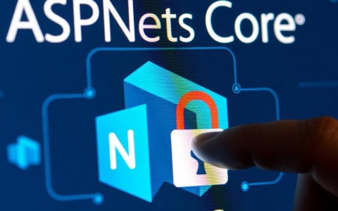 aspnet令牌究竟如何高效管理，确保Web应用安全与用户体验？