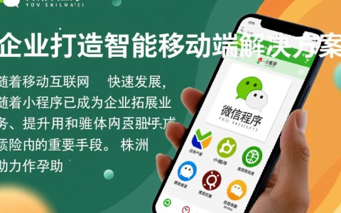 株洲微信小程序开发服务，哪家机构性价比更高？