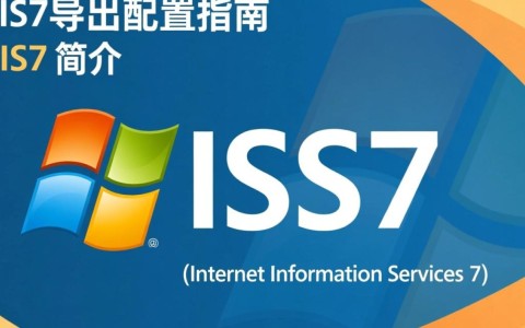 IIS7配置导出时遇到问题？如何高效解决导出配置难题？
