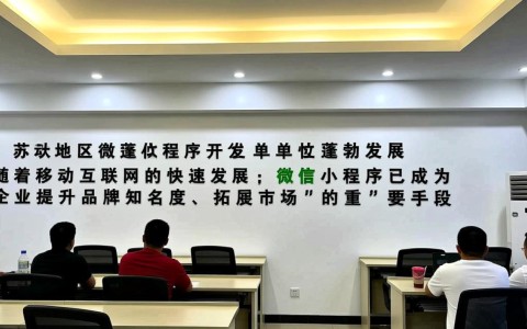江苏哪些单位开发了微信小程序？揭秘背后的创新力量！