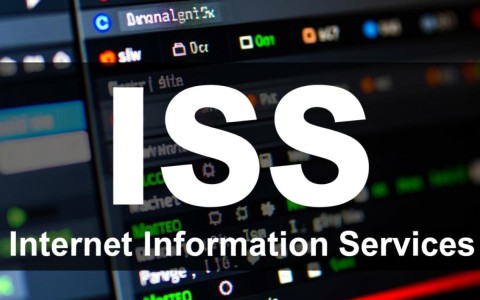 ASP.NET如何在不依赖IIS的情况下实现类似伪静态路由的URL重写？