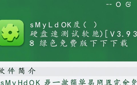 IsMyHdOK V3.93 绿色免费硬盘测速软件下载