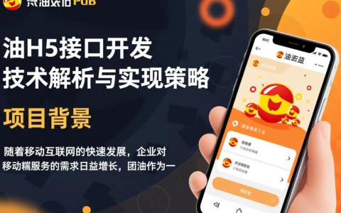 团油h5接口开发，如何确保接口稳定性和用户体验优化？