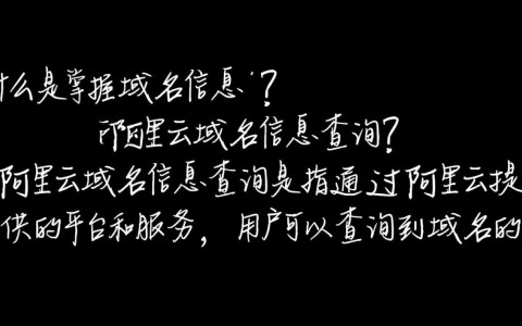 阿里云域名信息查询服务，如何准确获取详尽域名数据？