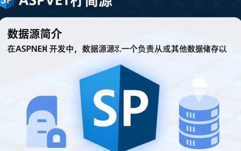 aspnet数据源如何高效选择与优化，实现最佳性能提升？