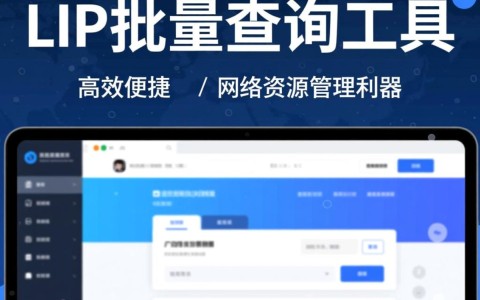 域名IP批量查询工具真的能高效准确查询所有域名IP吗？揭秘其真实效果！