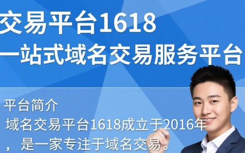 域名交易平台1618如何评估其交易安全和域名价值？