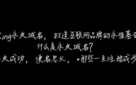 永久域名有个king背后隐藏的秘密，为何如此独特引人关注？