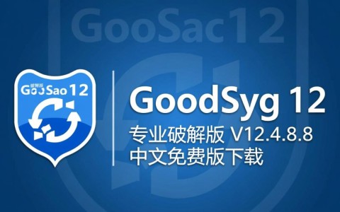 GoodSync Pro12专业破解版V12.4.8.8中文免费下载