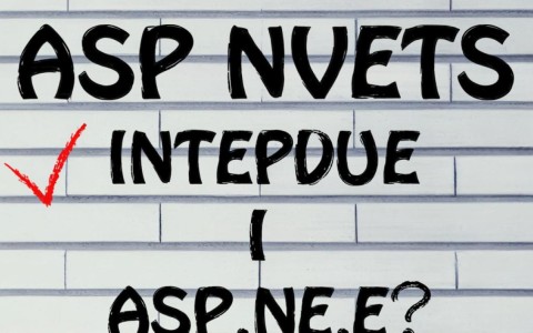 ASP.NET批量删除实例操作中，有哪些细节需要注意？