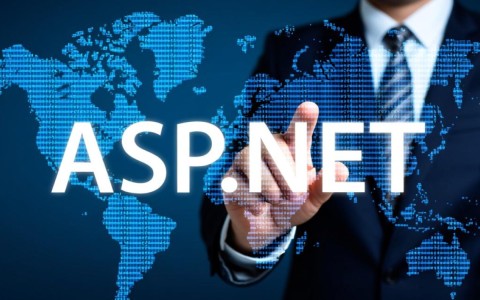 asp.net开发网站时，如何确保项目的高效与安全性？