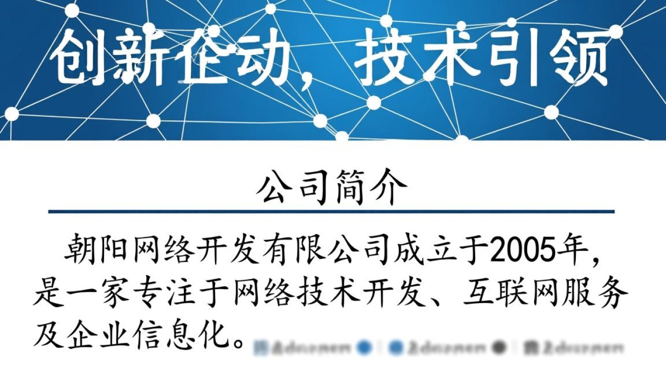 朝阳网络开发有限公司的业务范围和开发实力如何？有何独特优势？